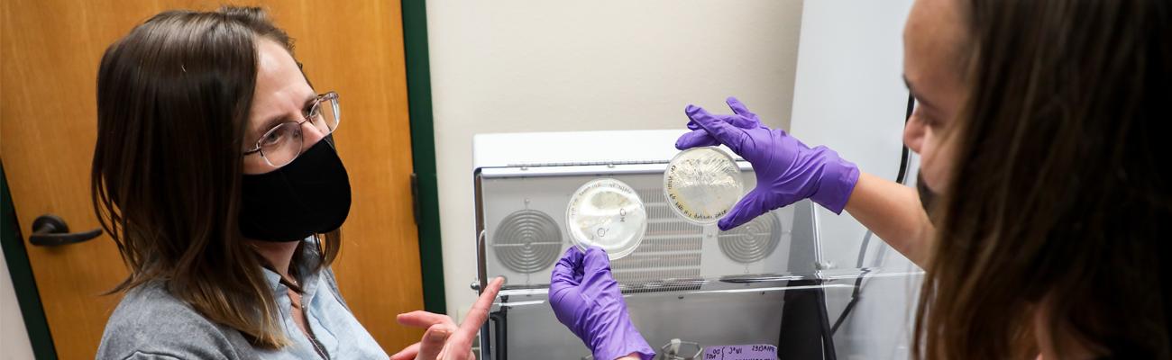 A student and professor discussing the results of petri dish samples