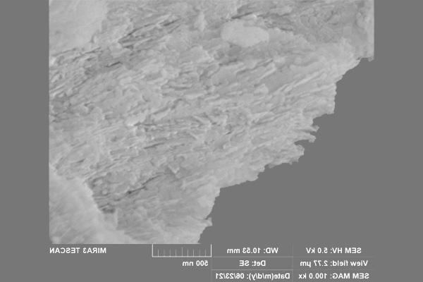 Pyrolyzed bovine bone structure at 100 kX magnification showing the interconnected network of mineral nanoplatelets.